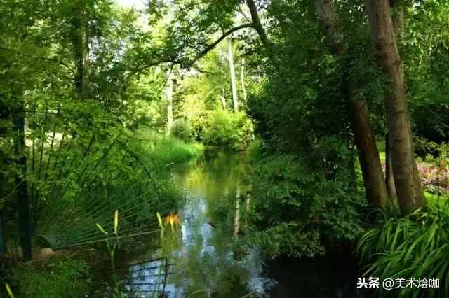 2亿元成交！莫奈的《睡莲》到底好在哪？