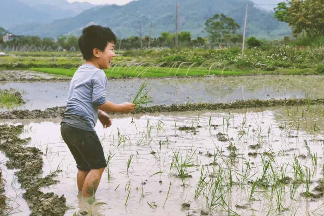 2021必盘广州最美民宿，趁还没火快去睡