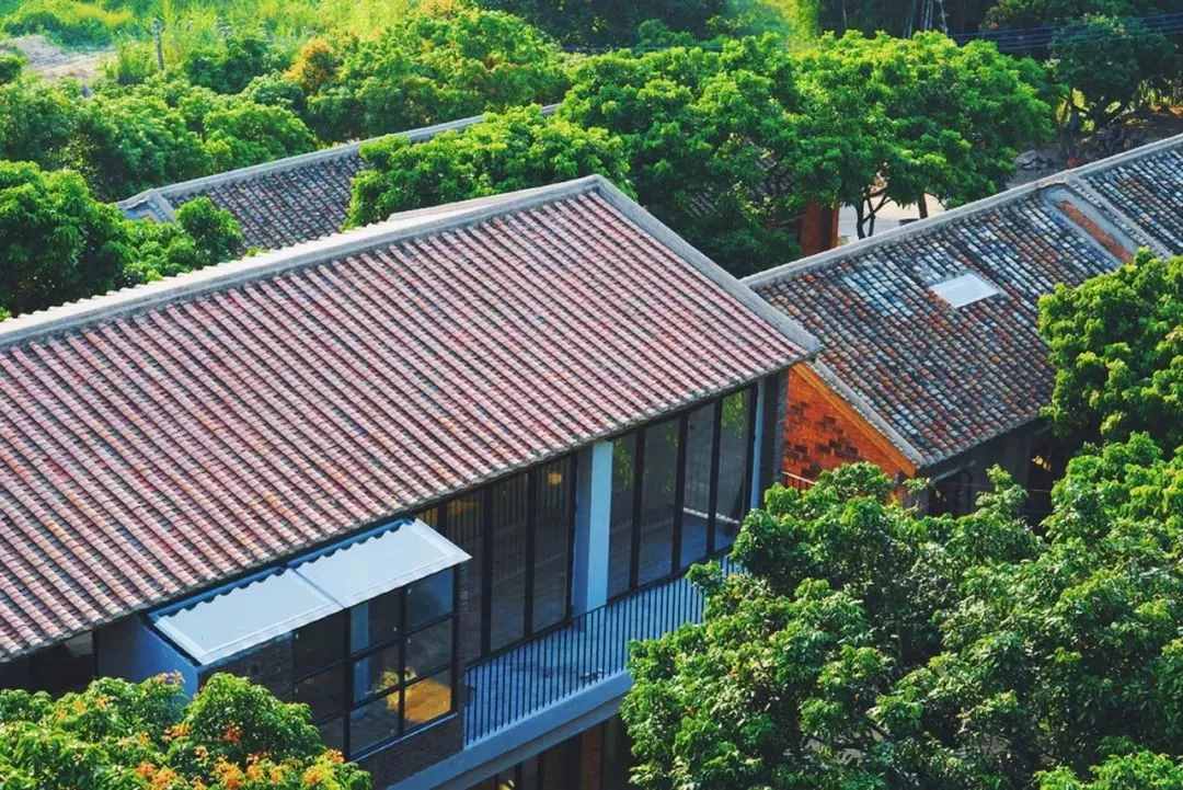 2021必盘广州最美民宿，趁还没火快去睡