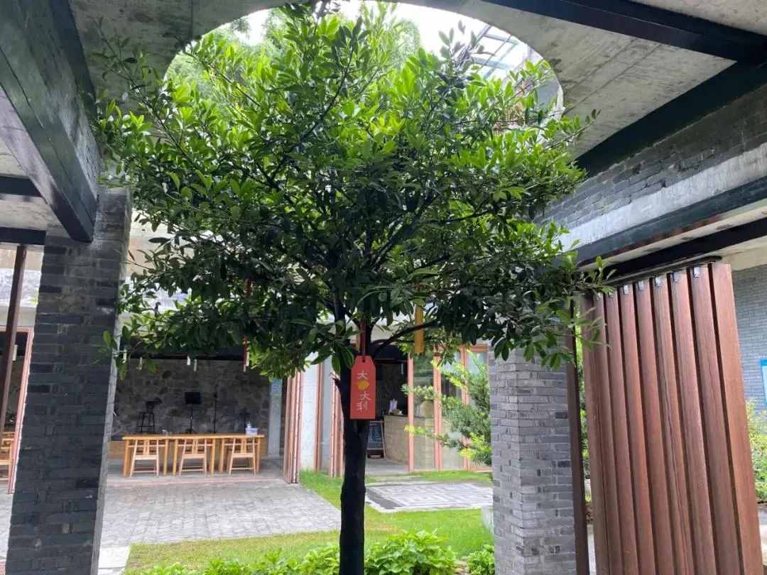 2021必盘广州最美民宿，趁还没火快去睡