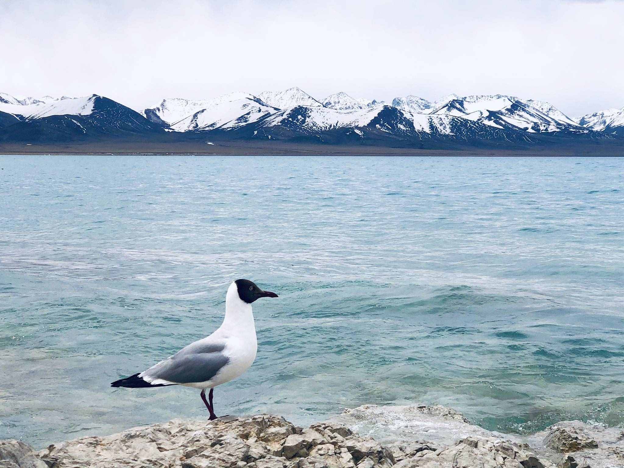 国内最美的十大湖泊，你去过几个？