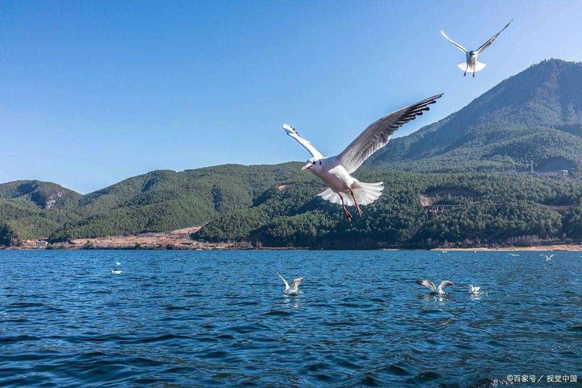 国内最美的十大湖泊，你去过几个？