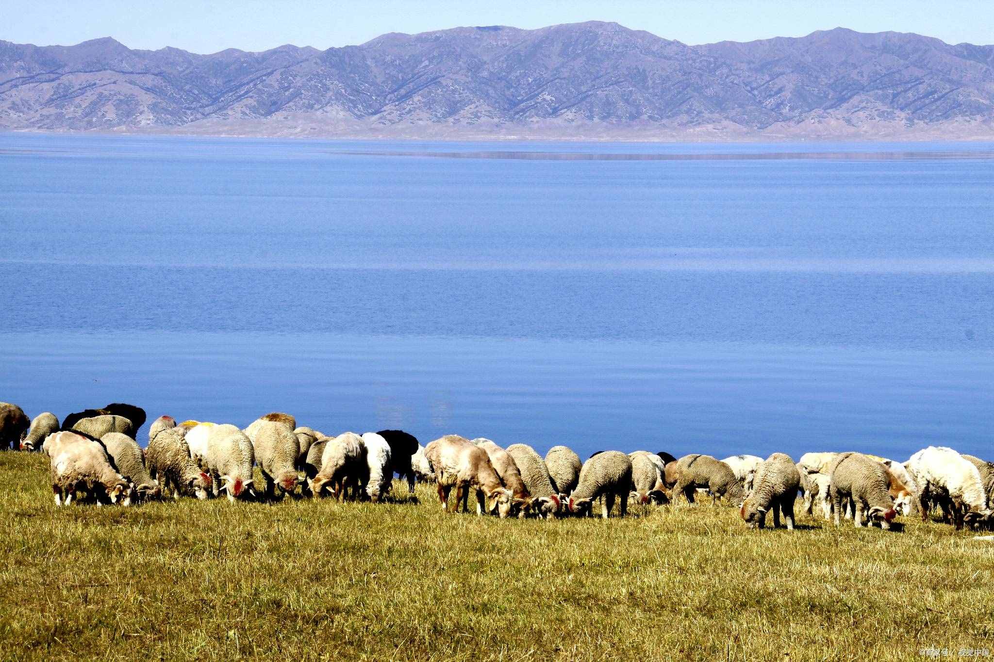 国内最美的十大湖泊，你去过几个？