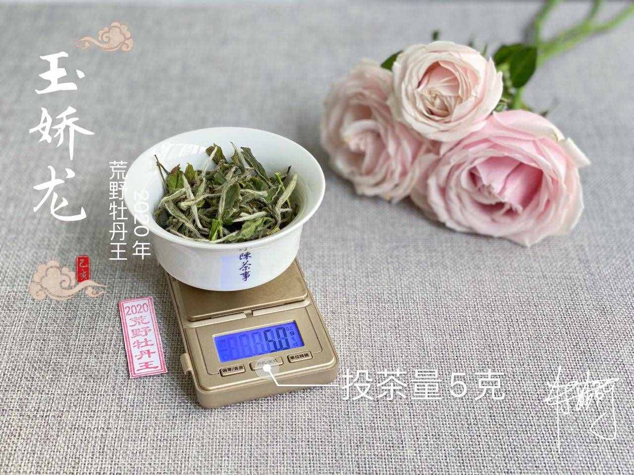 铁观音是绿茶？安吉白茶是白茶？喝茶这么多年，可不能再认错了