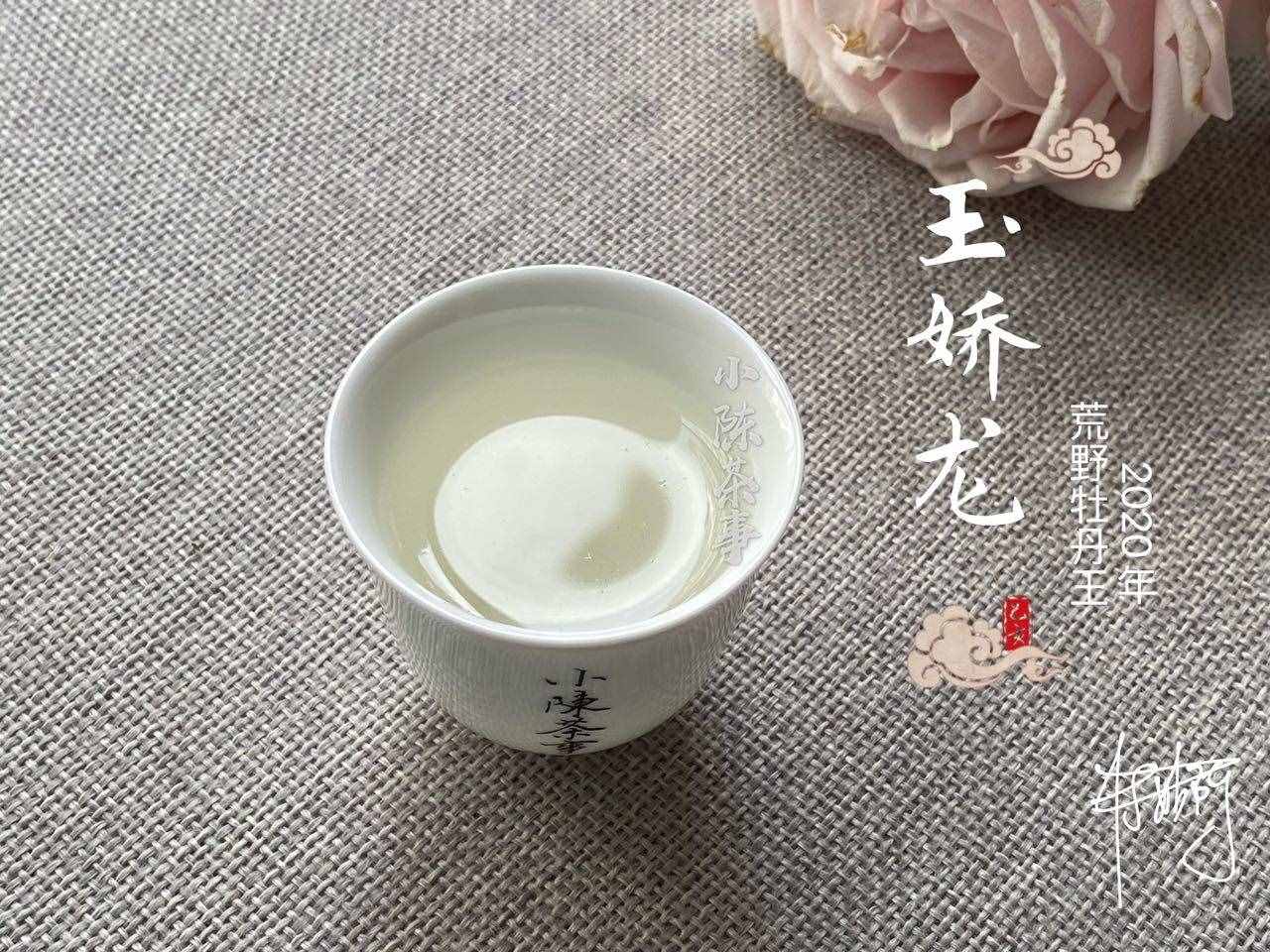 铁观音是绿茶？安吉白茶是白茶？喝茶这么多年，可不能再认错了