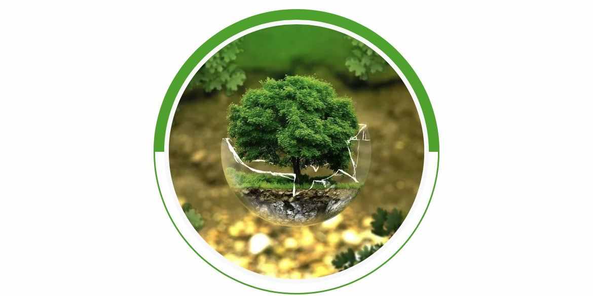 育亨宾树皮怎么进口 育亨宾树皮进口清关