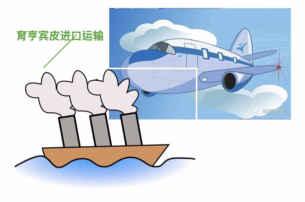 育亨宾树皮怎么进口 育亨宾树皮进口清关