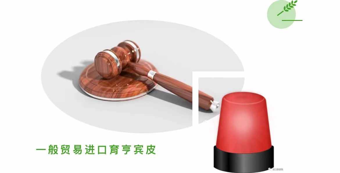育亨宾树皮怎么进口 育亨宾树皮进口清关