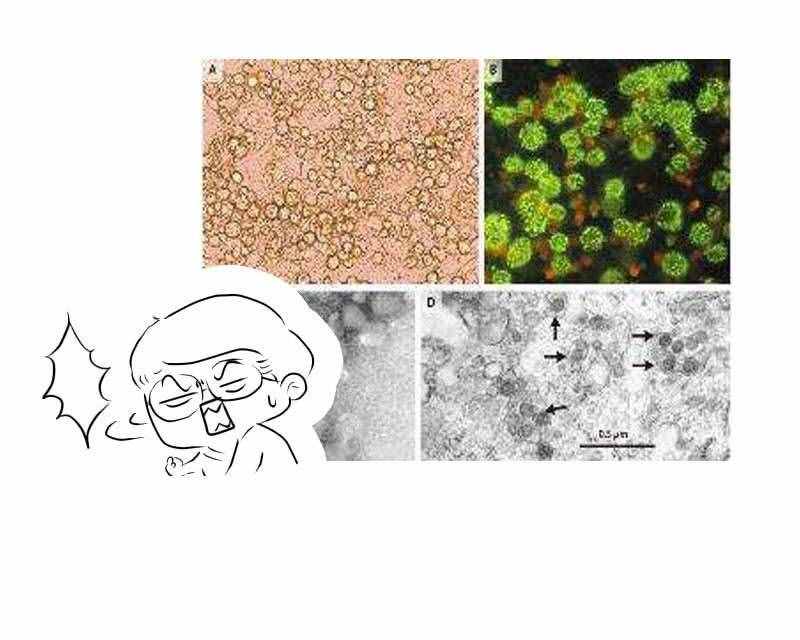 一到换季，为何皮肤就过敏？提醒：做好5件事，排在首位很重要