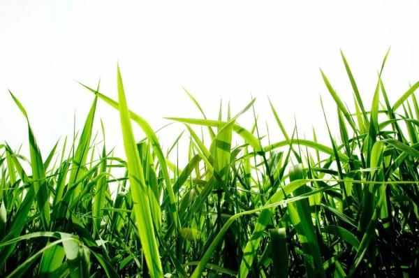 人到晚年，手里要握紧这两样东西！少了一件，晚年多半艰难