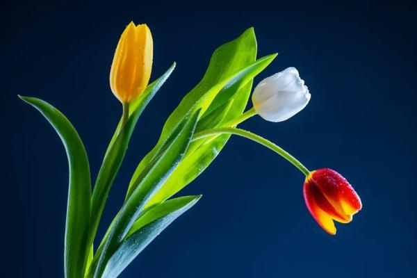 人到晚年，手里要握紧这两样东西！少了一件，晚年多半艰难