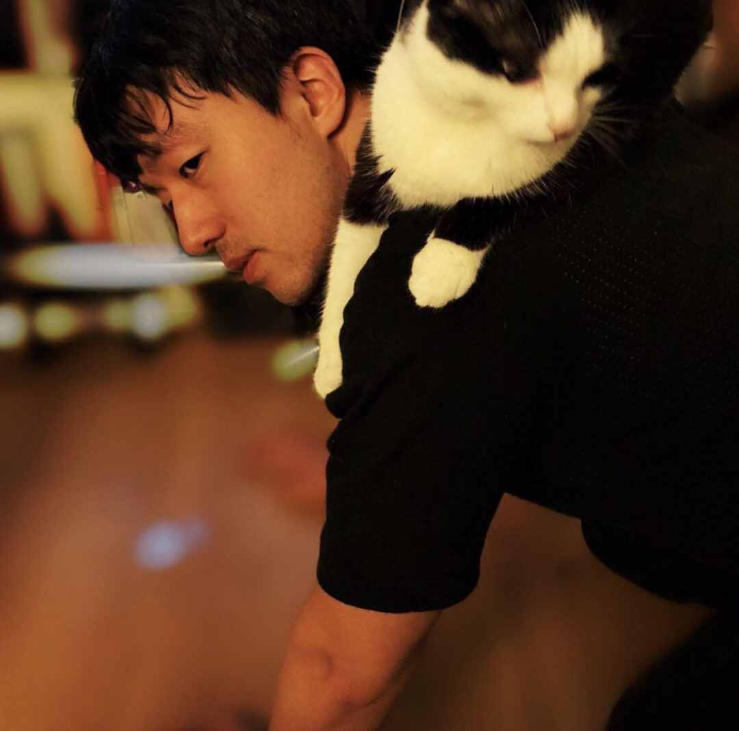 知乎转身：阳春白雪和下里巴人，这次能两全