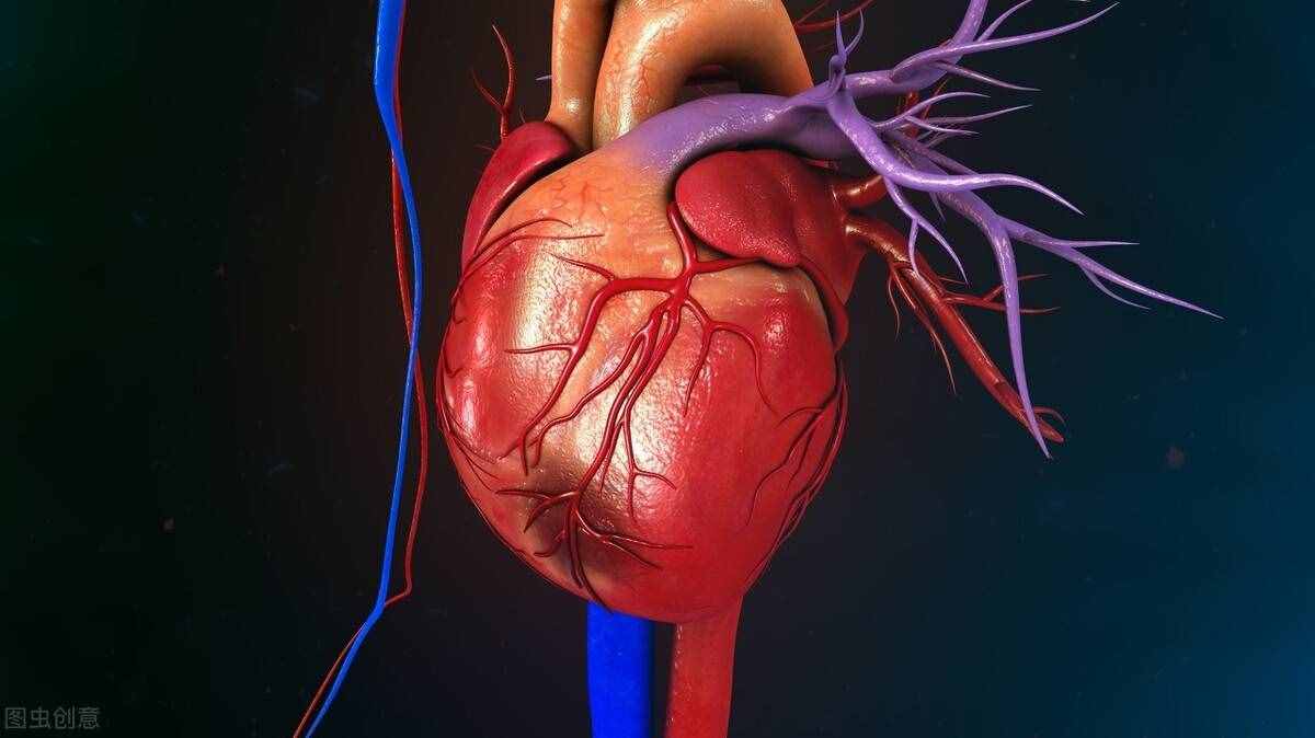 老人动一动，健康更长寿！最适合老年人的5项运动，简单易学
