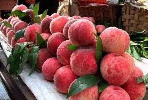 常吃桃子，3个好处不请自来，但别这样吃，不然后悔就晚了