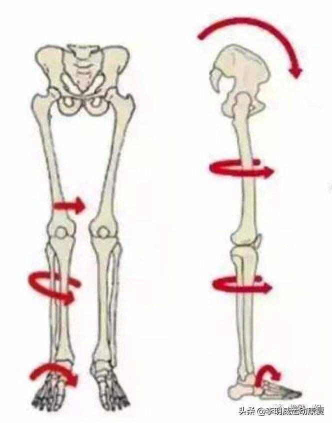 如何瘦小腿？原因和练习方案