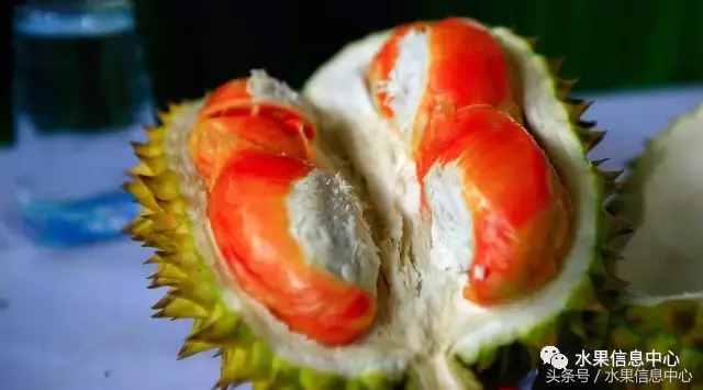 史上最全榴莲品种产地分类大全