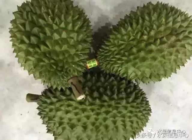 史上最全榴莲品种产地分类大全