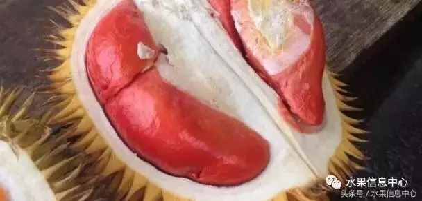 史上最全榴莲品种产地分类大全