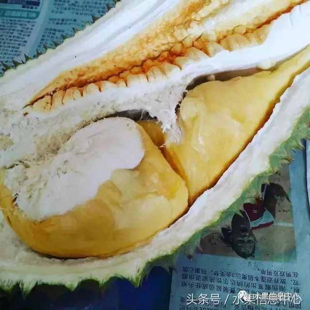 史上最全榴莲品种产地分类大全