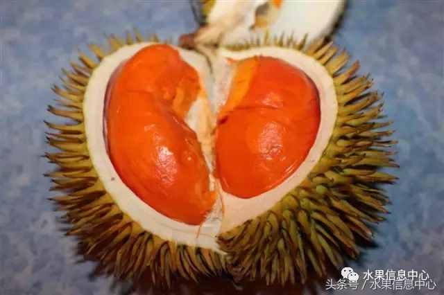 史上最全榴莲品种产地分类大全