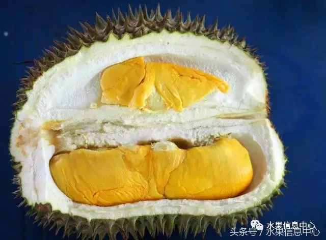 史上最全榴莲品种产地分类大全