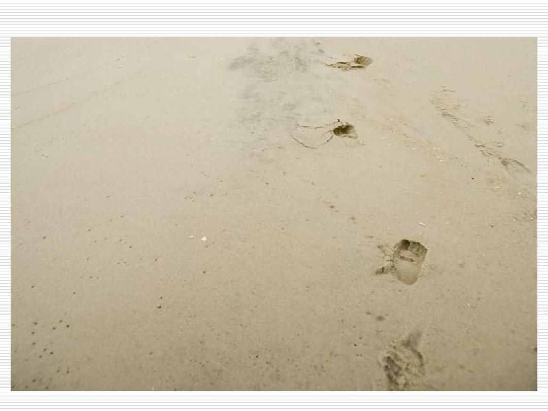 成长的脚印：人生之路漫长，要执著地走下去，越早知道对自己越好