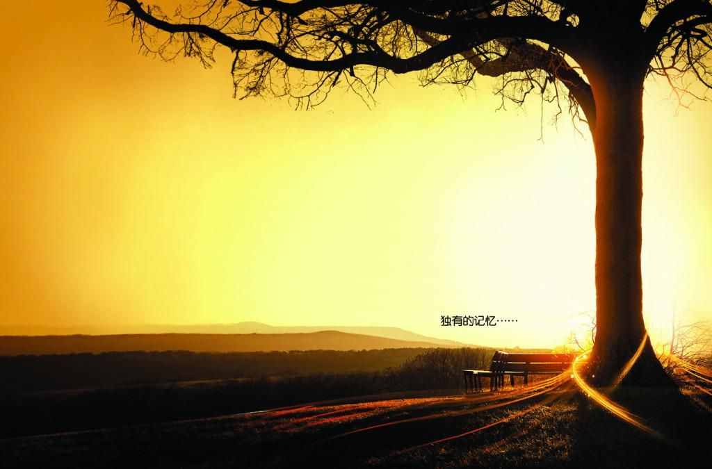 成长的脚印：人生之路漫长，要执著地走下去，越早知道对自己越好