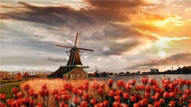 走自己的路，让别人说去吧