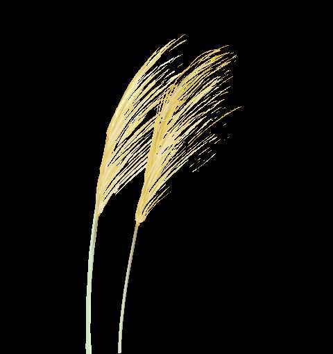 和她一起奔小康 