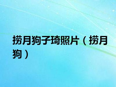 捞月狗子琦照片捞月狗