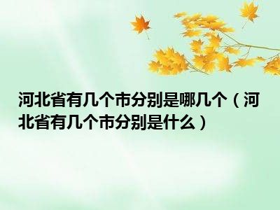 河北省有几个市分别是哪几个（河北省有几个市分别是什么）