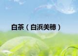 白茶（白浜美穂）