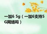 一加6 5g（一加6支持5G网络吗）