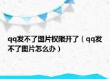 qq发不了图片权限开了（qq发不了图片怎么办）