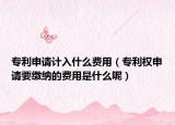 专利申请计入什么费用（专利权申请要缴纳的费用是什么呢）