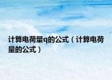 计算电荷量q的公式（计算电荷量的公式）