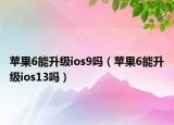 苹果6能升级ios9吗（苹果6能升级ios13吗）