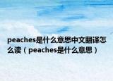 peaches是什么意思中文翻译怎么读（peaches是什么意思）