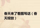 春天来了看图写话（春天绽放）
