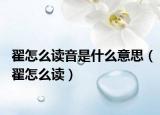 翟怎么读音是什么意思（翟怎么读）