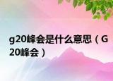 g20峰会是什么意思（G20峰会）