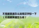 不用谢英语怎么说用汉字标一下（不用谢英语怎么说）