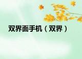 双界面手机（双界）