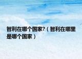 智利在哪个国家?（智利在哪里是哪个国家）