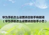 华为手机怎么设置语音助手唤醒词（华为手机怎么设置语音助手小艺）