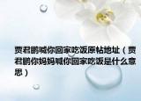 贾君鹏喊你回家吃饭原帖地址（贾君鹏你妈妈喊你回家吃饭是什么意思）