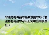 非法持有毒品罪是故意犯罪吗（非法持有毒品罪可以追究哪些刑事责任）