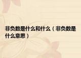 非负数是什么和什么（非负数是什么意思）