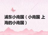 浦东小南国（小南国 上海的小南国）