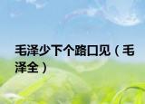毛泽少下个路口见（毛泽全）